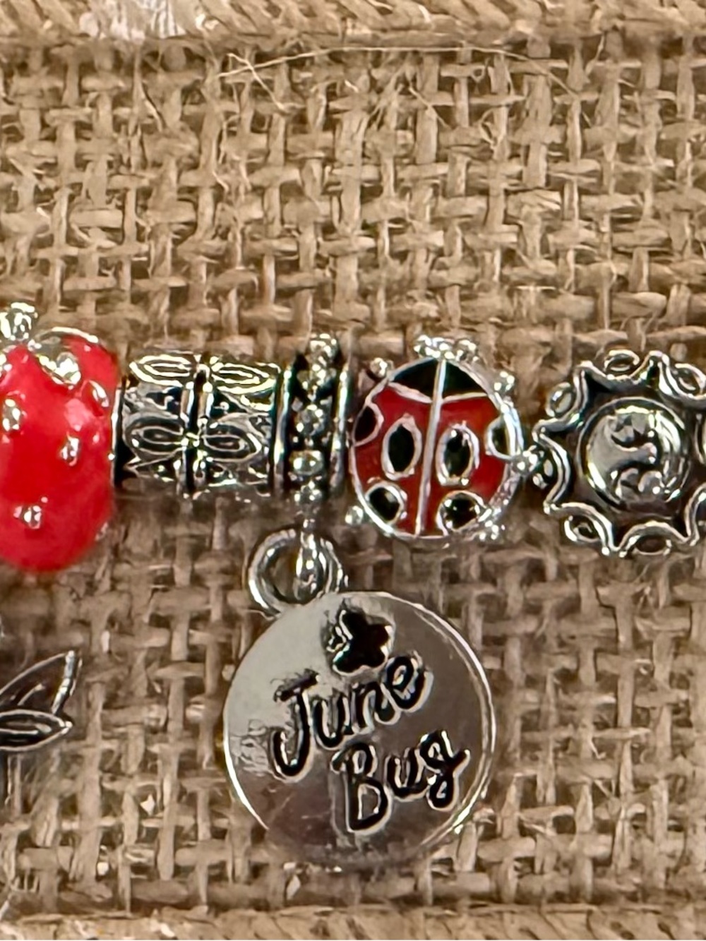 June Bug Silver Charm Bracelet with Red Enamel Accents